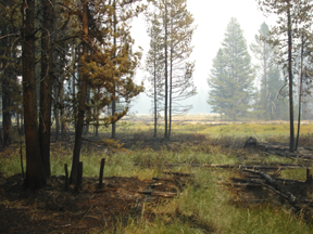 acrosstheriver.jpg - 92394 Bytes