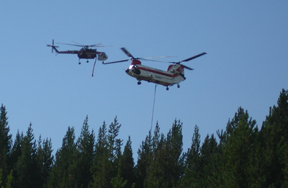 Helicopters.jpg - 52038 Bytes