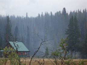 Meckel.jpg - 63905 Bytes