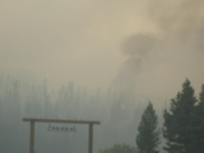 Stillburning2.jpg - 37110 Bytes