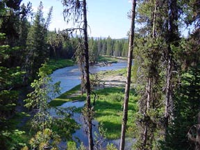 Secesh River at Chinook Campground